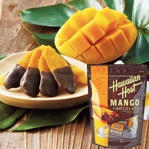 截圖 2024-01-31 下午5.06.57