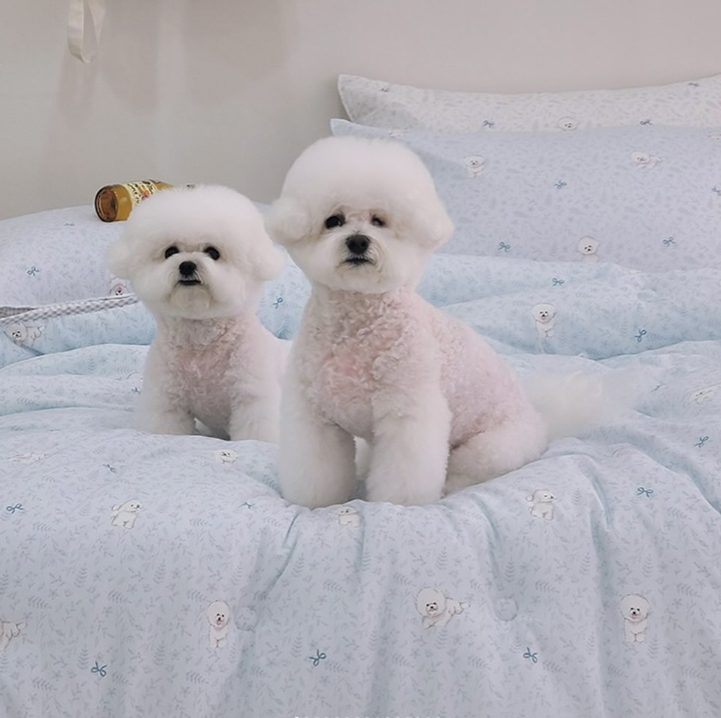 截圖 2025-03-13 下午2.26.41