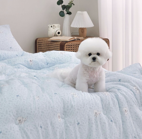 截圖 2025-03-13 下午2.27.41