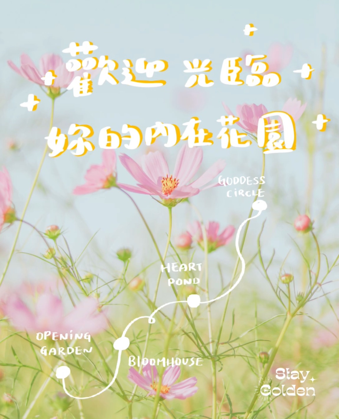 S__135176244