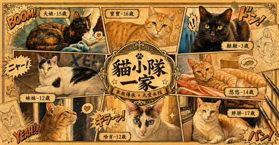 我們這一家 | 貓小隊Catgroup