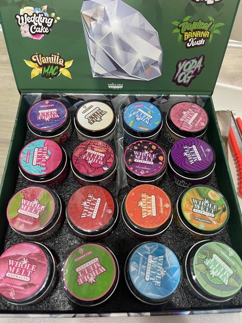 IMG_4875-1704514117545