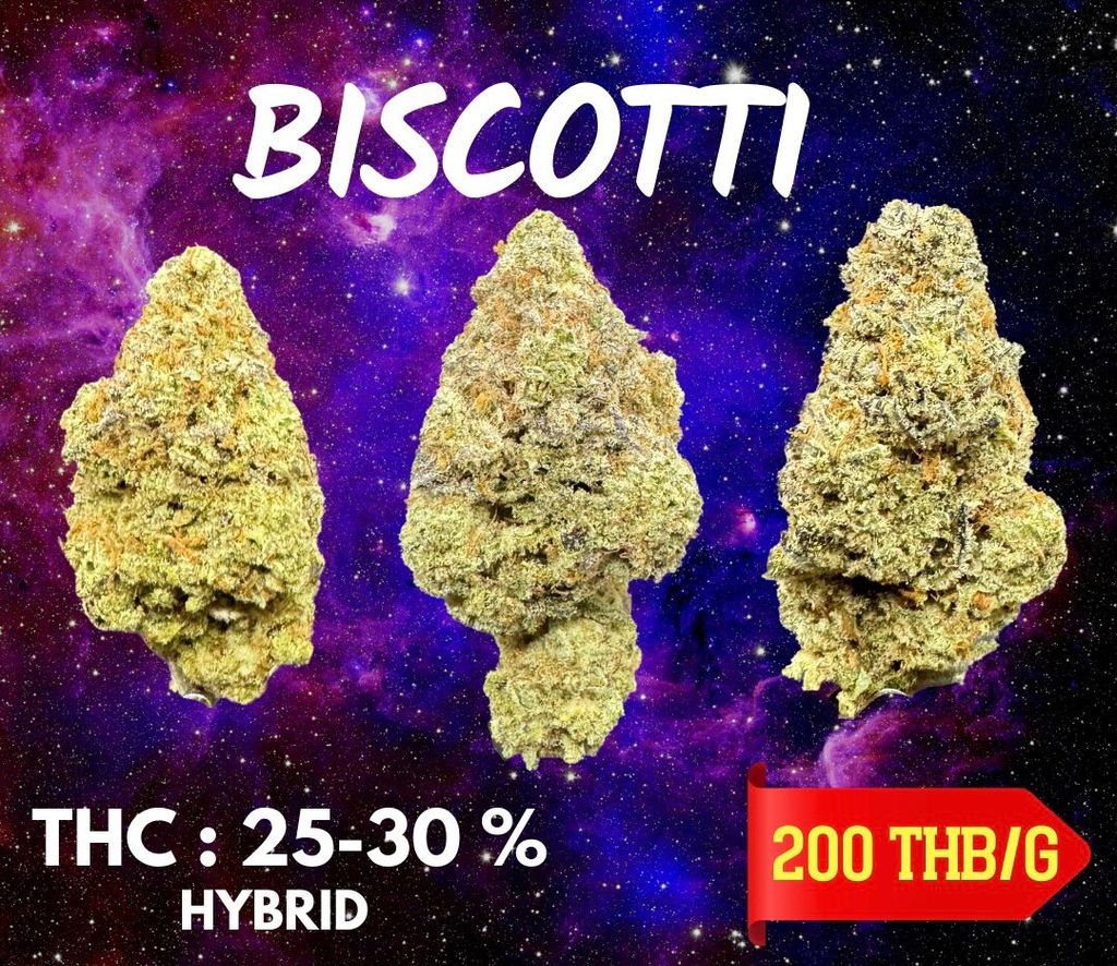 IMG_4891-1704519919499