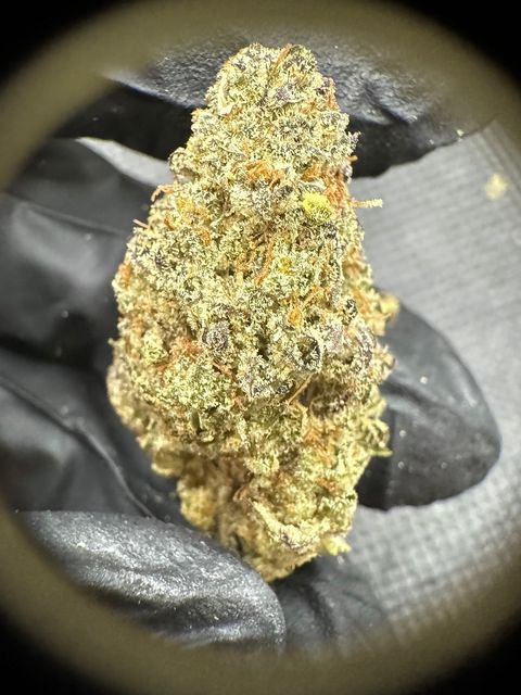 IMG_4892-1704519919093