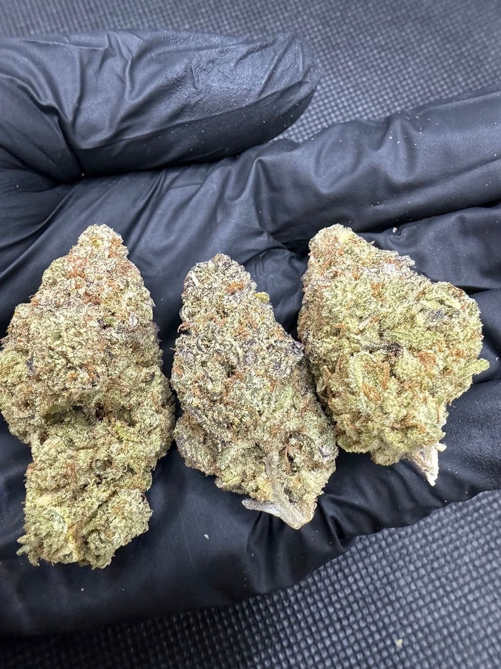 IMG_4893-1704519919114