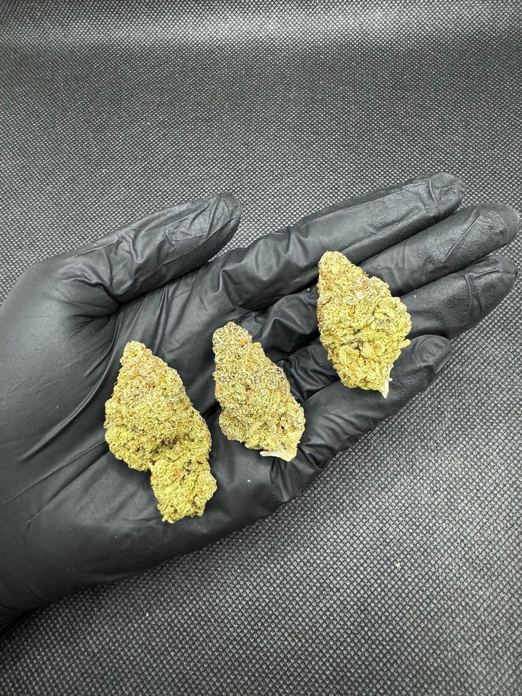 IMG_4894-1704519919103