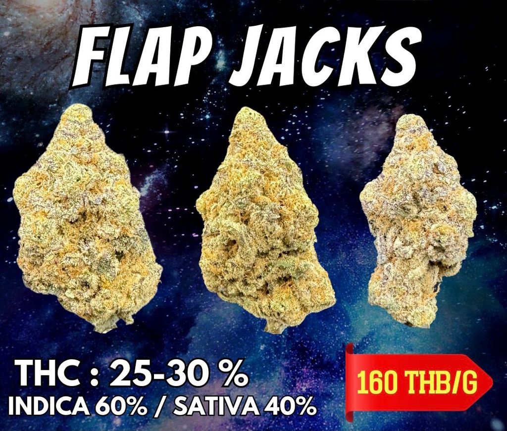 IMG_4914-1704525117642