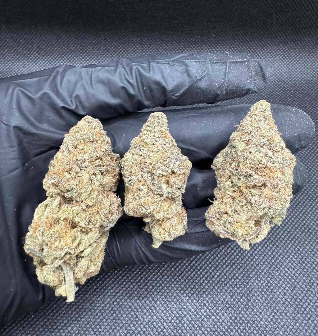 IMG_4915-1704525117540