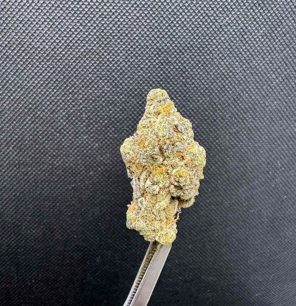 IMG_4916-1704525117545