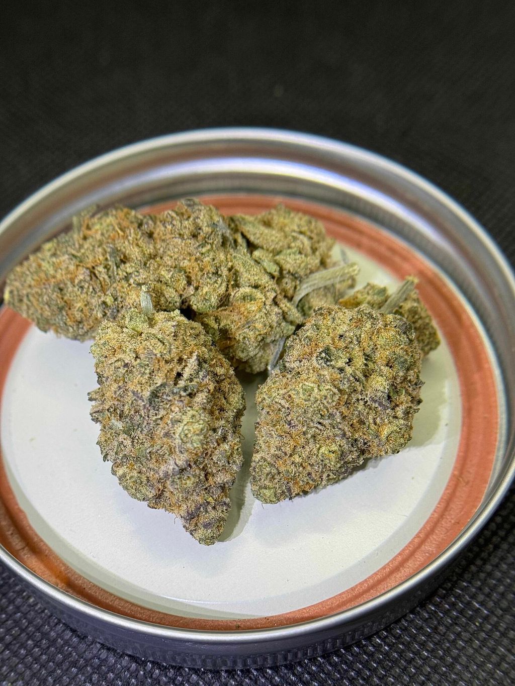 IMG_4917-1704525117557