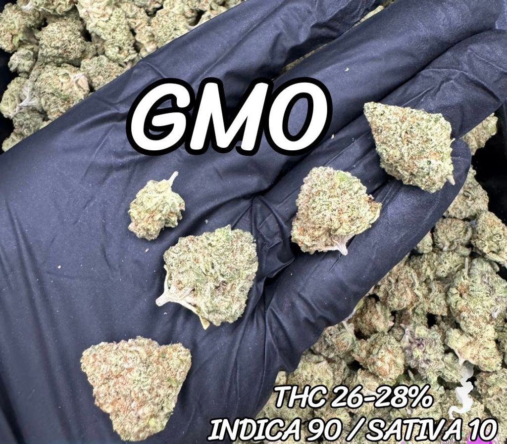 IMG_4918-1704525401947