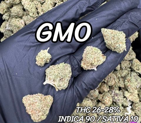 IMG_4918-1704525401947