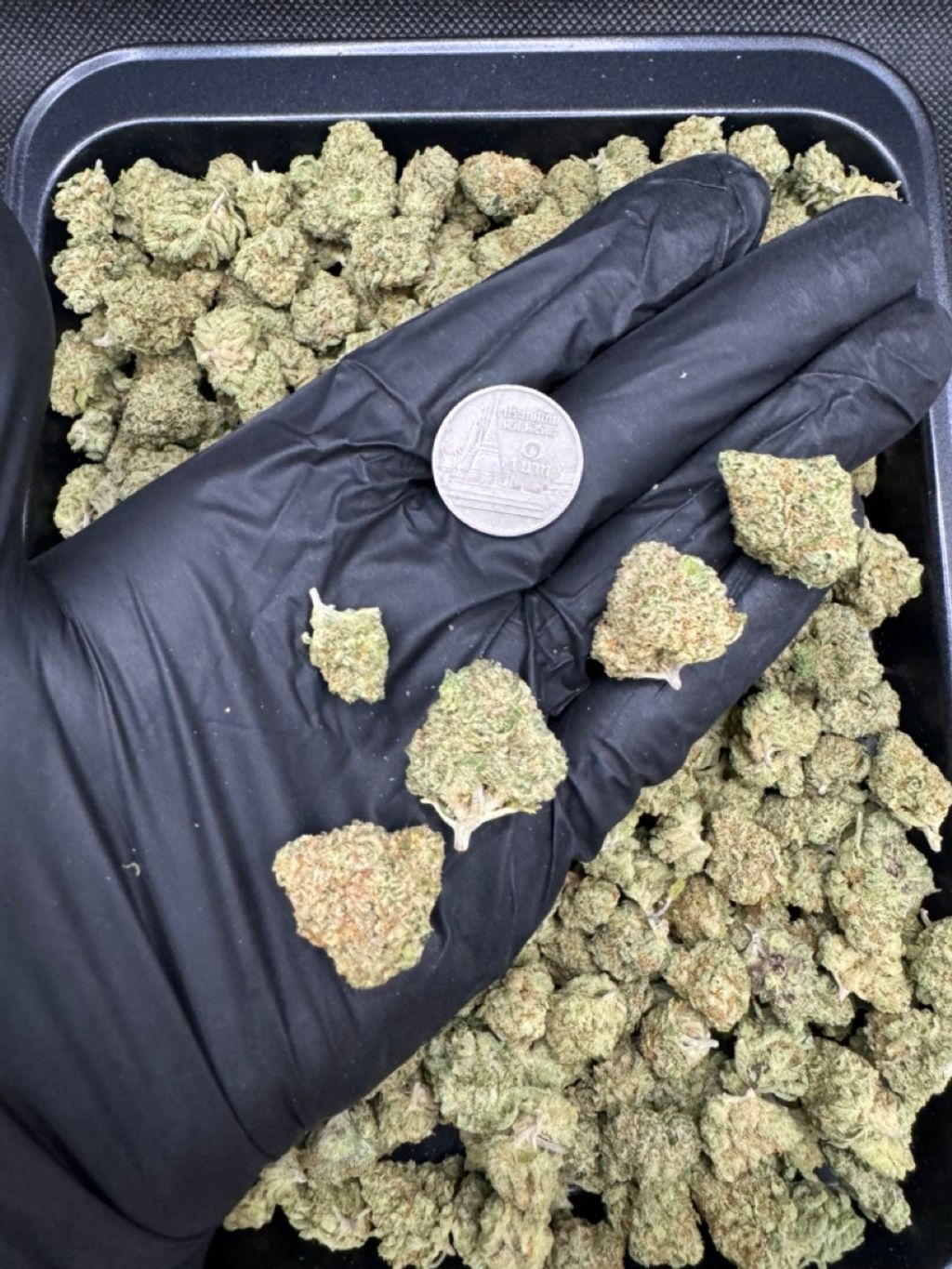 IMG_4920-1704525401808