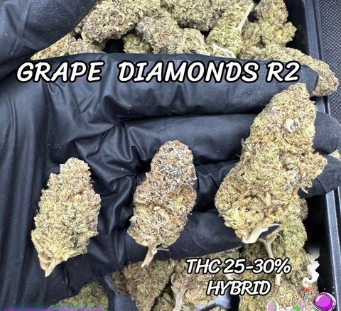 IMG_4923-1704525646401