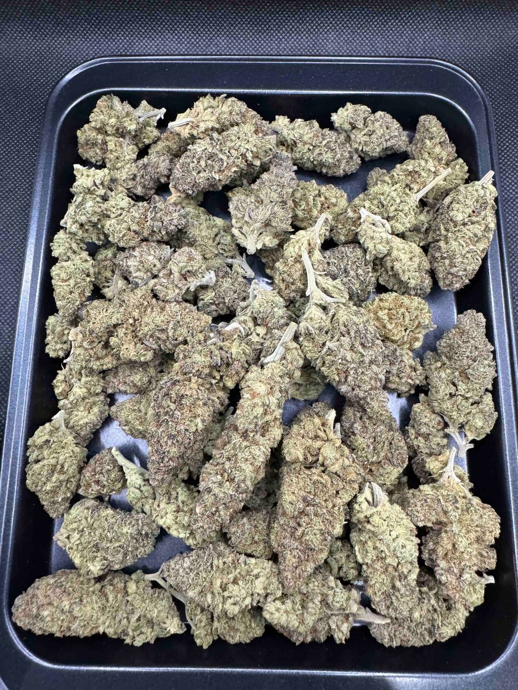 IMG_4927-1704525646311