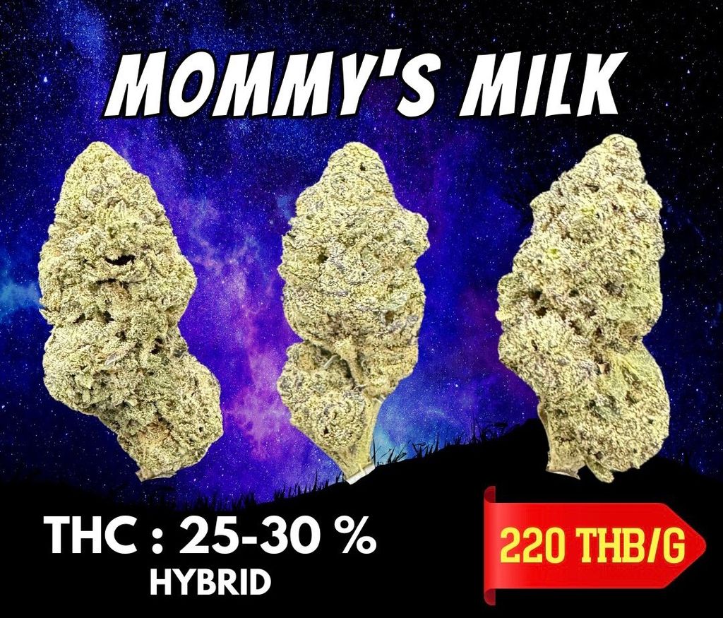 IMG_4928-1704525914249