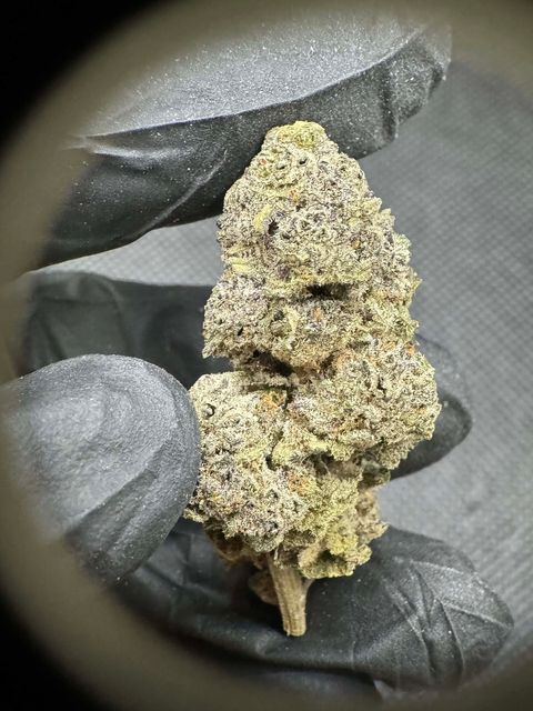 IMG_4929-1704525914121