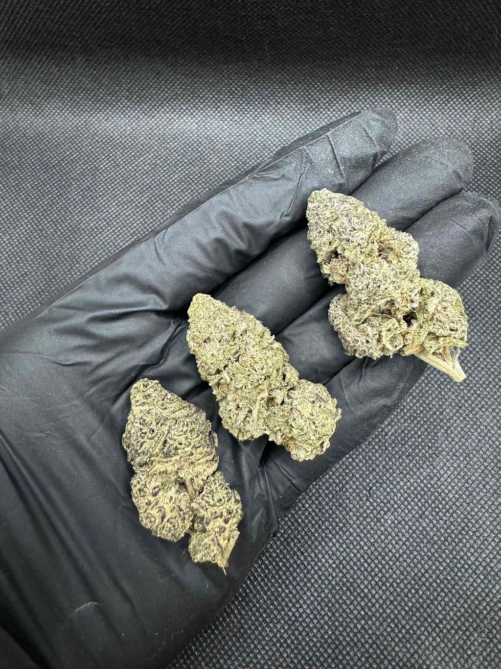 IMG_4931-1704525914152