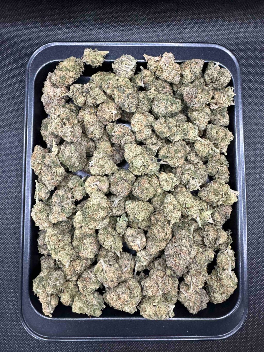 IMG_4936-1704526267706