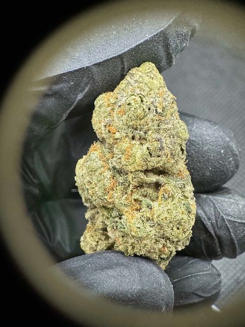 IMG_4938-1704526517735