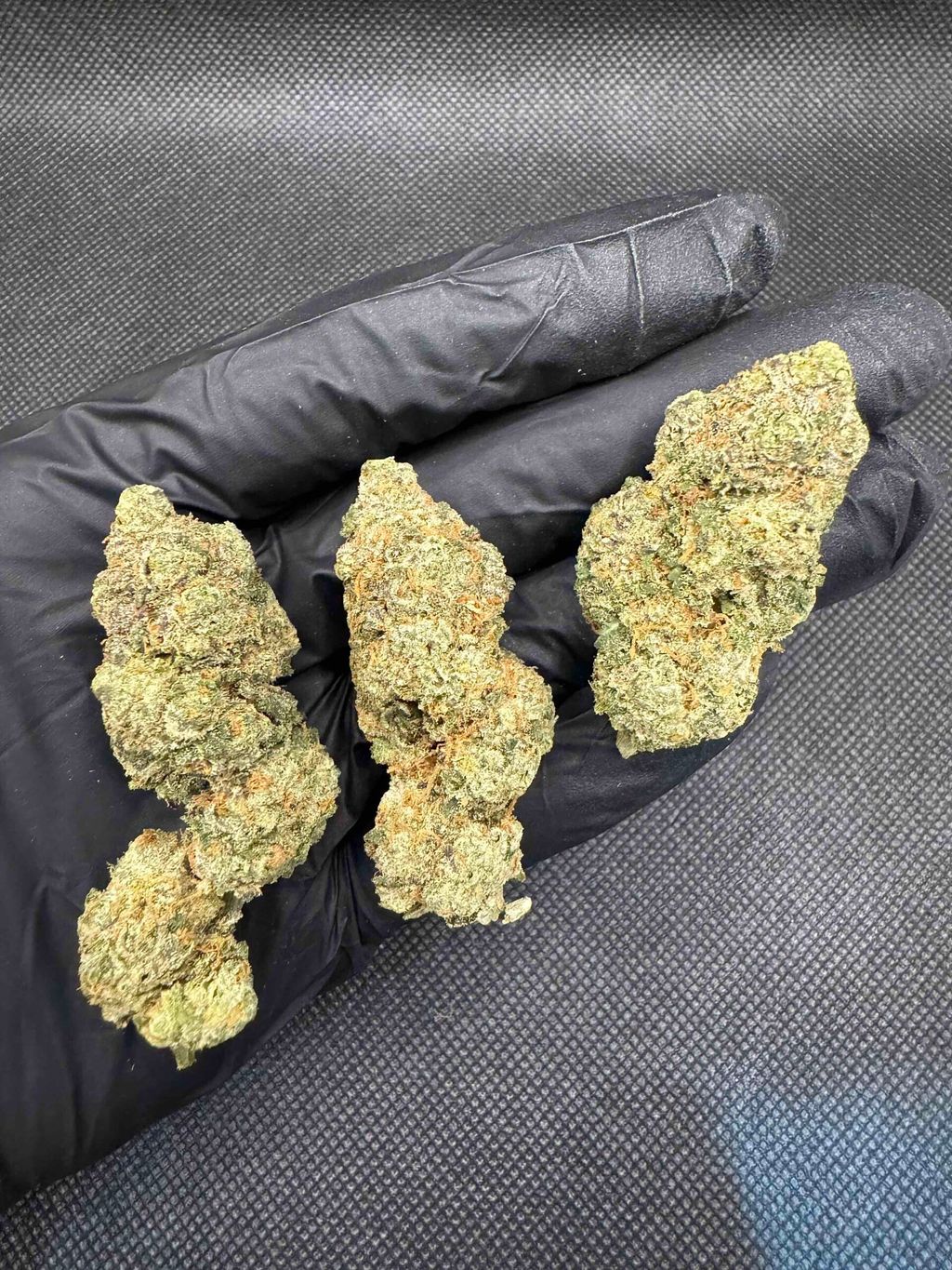 IMG_4939-1704526517707