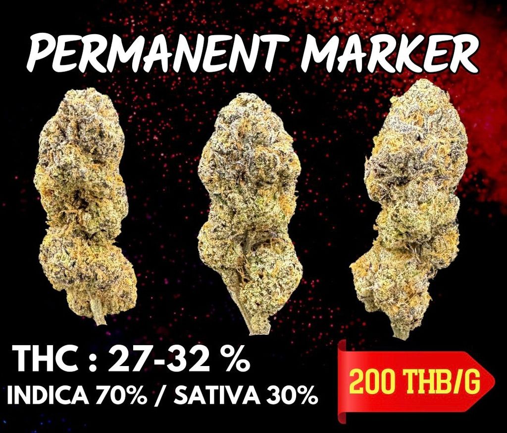 IMG_4941-1704526861001