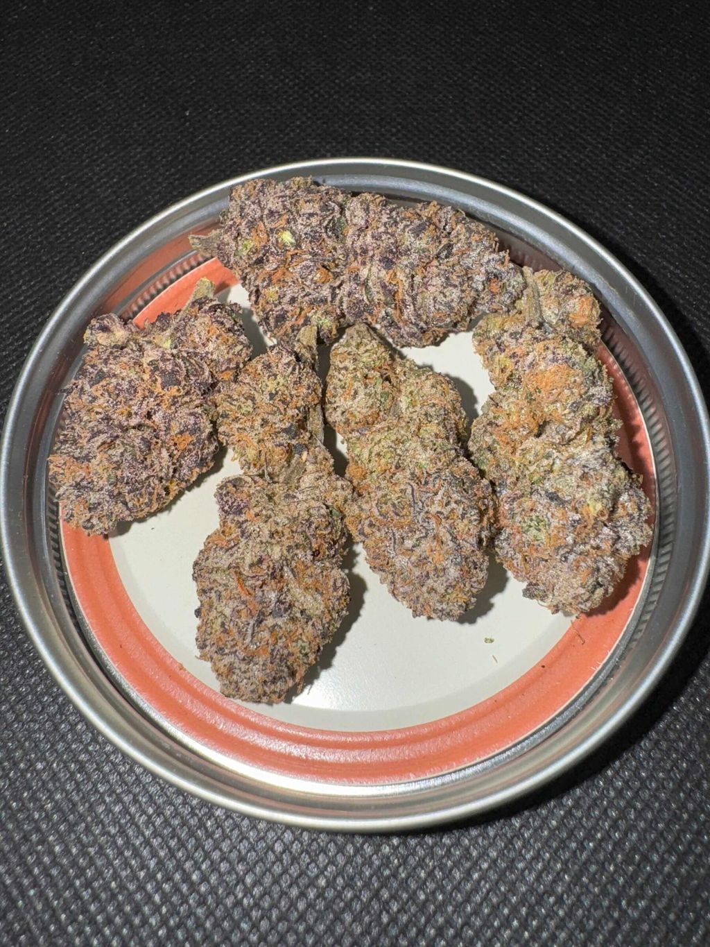 IMG_4944-1704526860909