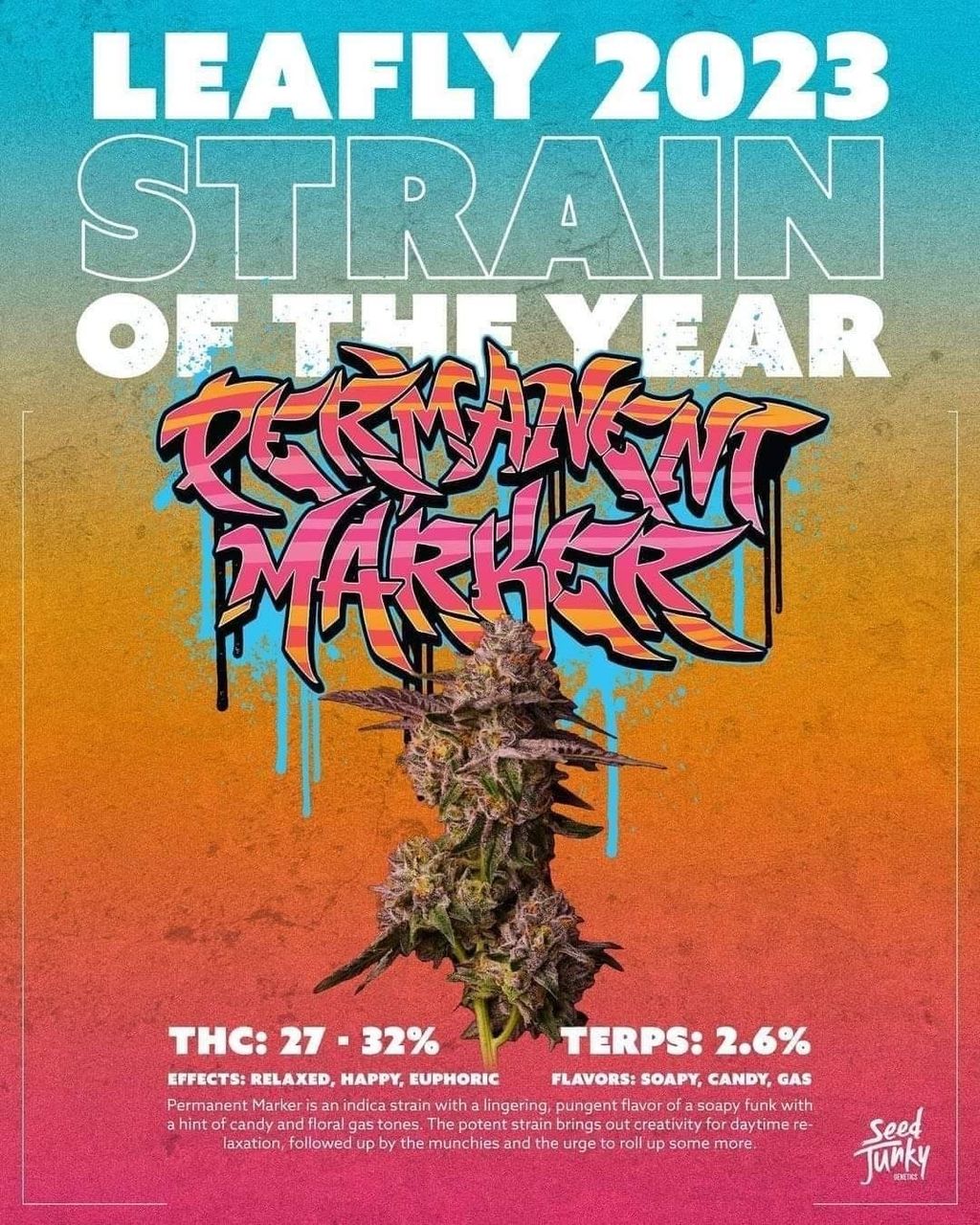 IMG_4945-1704526860918