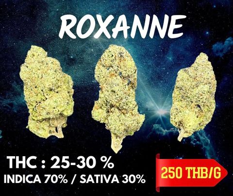 IMG_4946-1704527176107