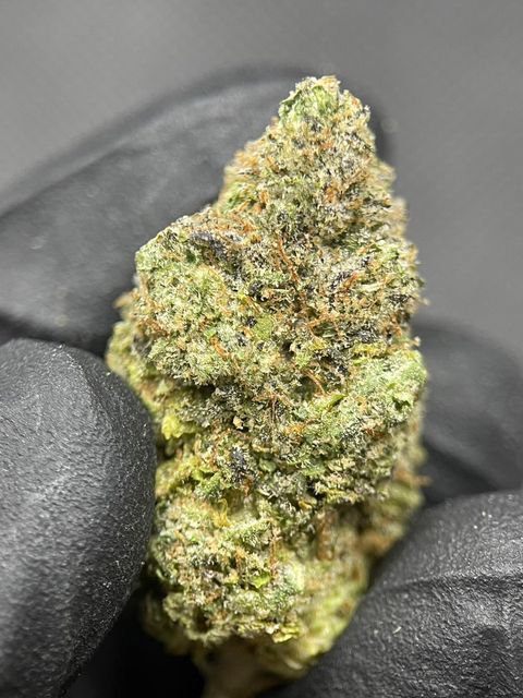 IMG_4947-1704527175973