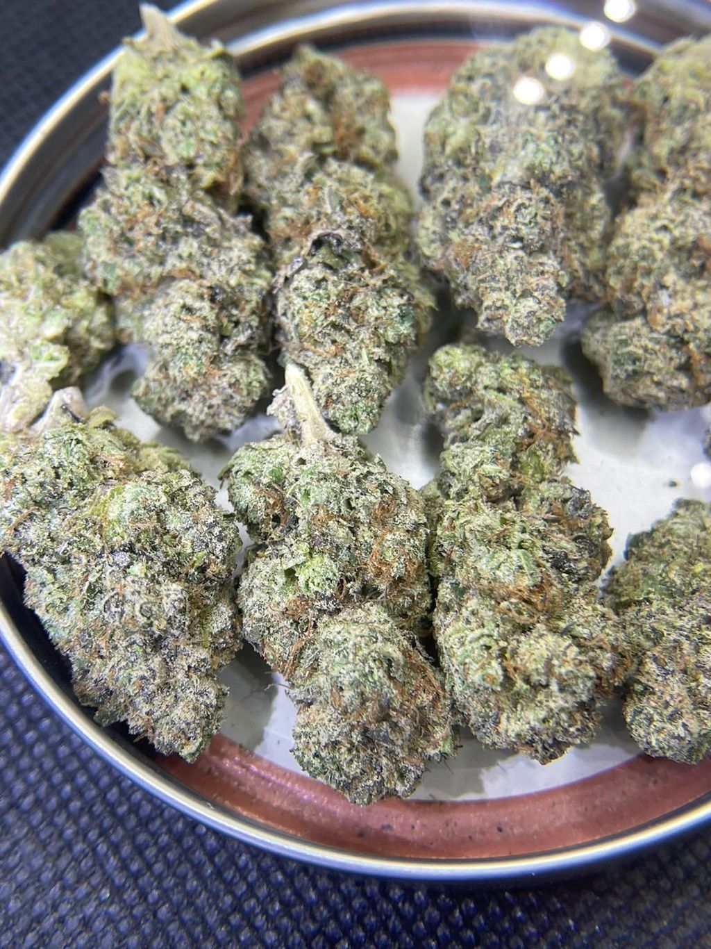 IMG_4948-1704527176049