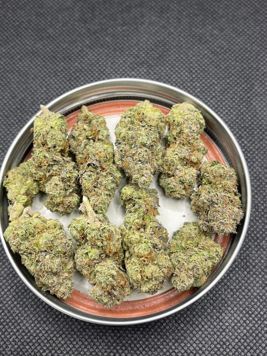 IMG_4949-1704527176010