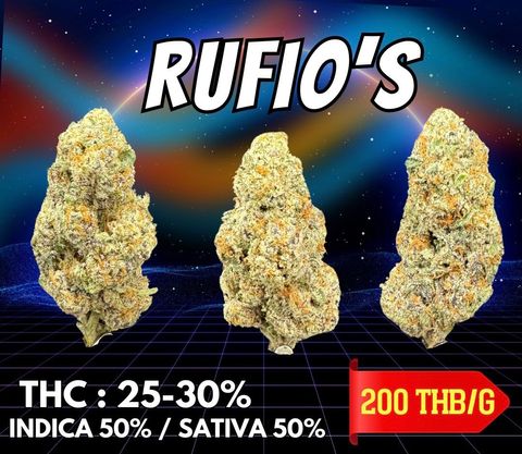 IMG_4950-1704527528864