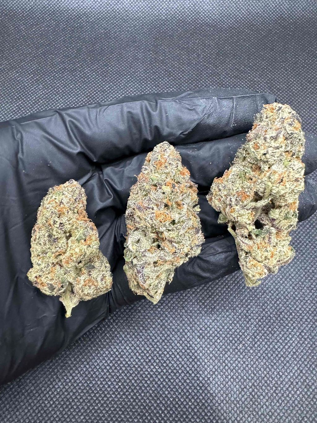 IMG_4953-1704527528688