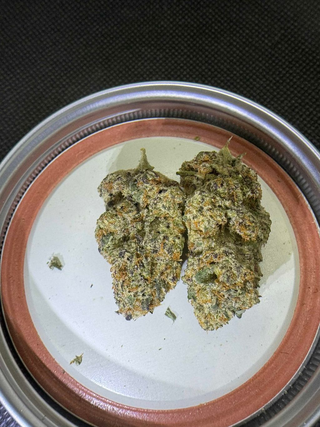 IMG_4952-1704527528750