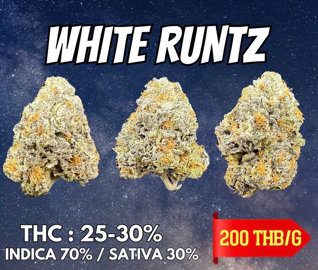 IMG_4954-1704528036148