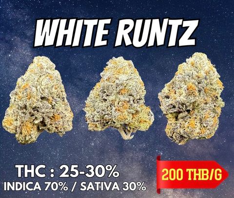 IMG_4954-1704528036148