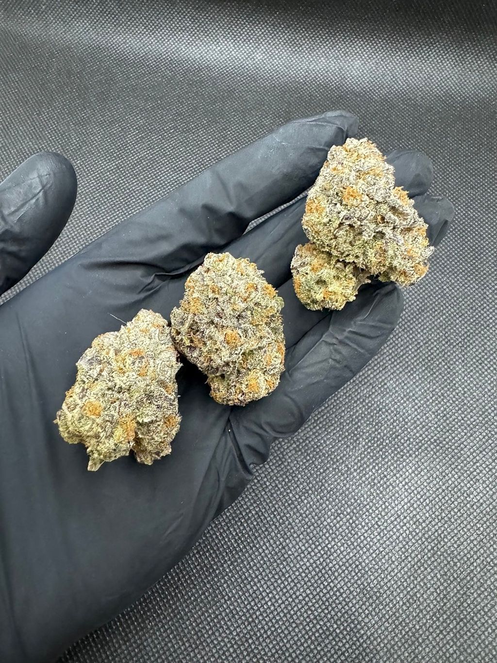 IMG_4957-1704528036035