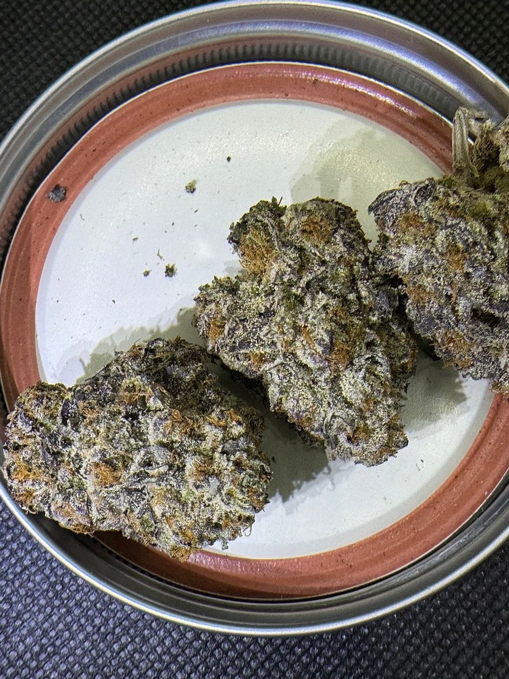 IMG_4958-1704528036045