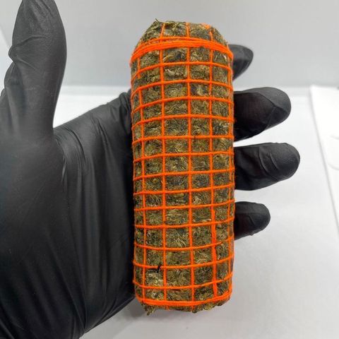 IMG_4960-1704529473212