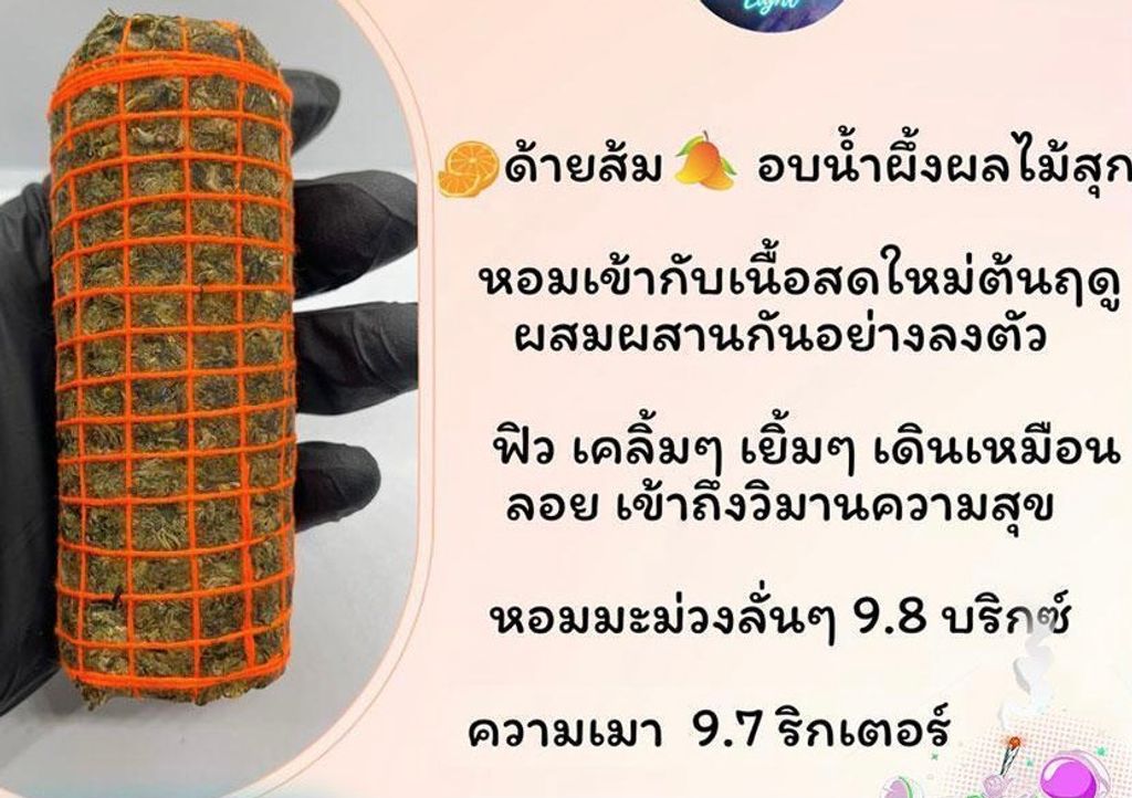 IMG_4959-1704529473244