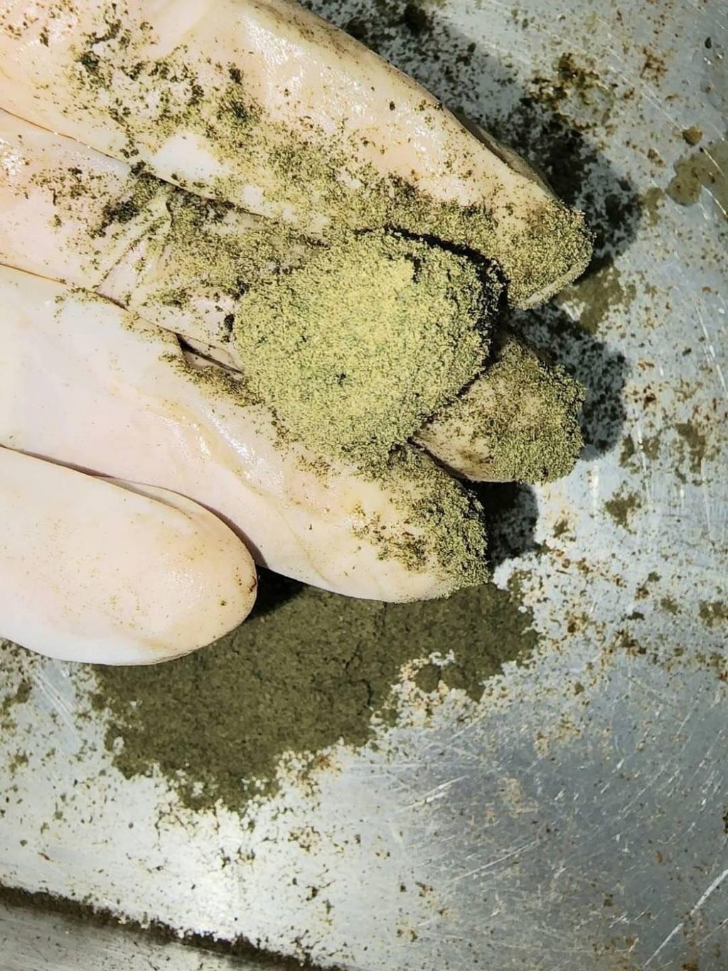 IMG_4963-1704533453830