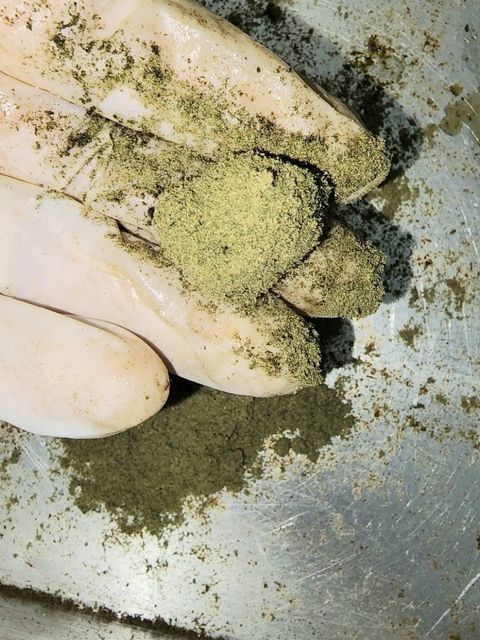 IMG_4963-1704533453830