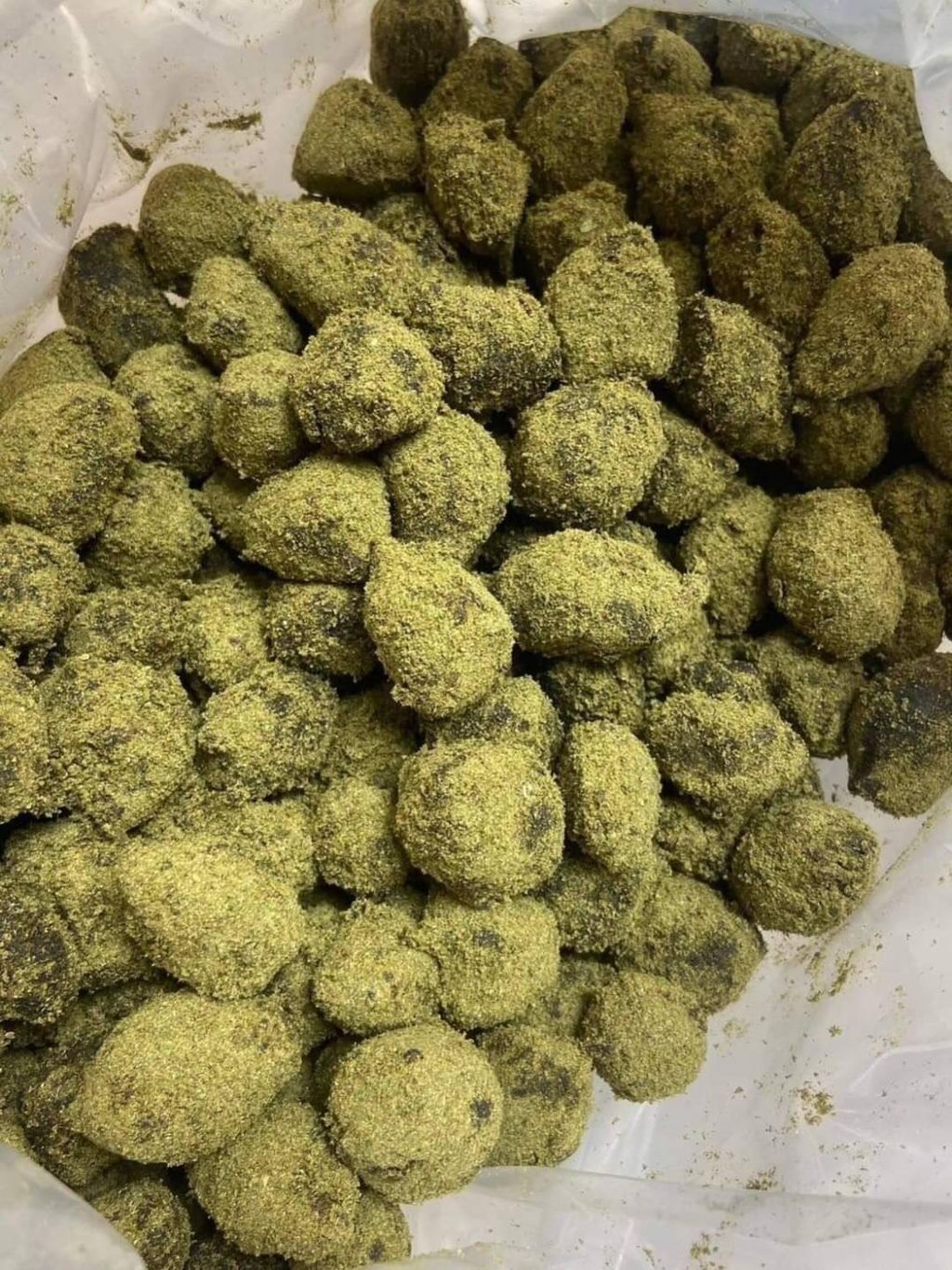 IMG_4964-1704533453875