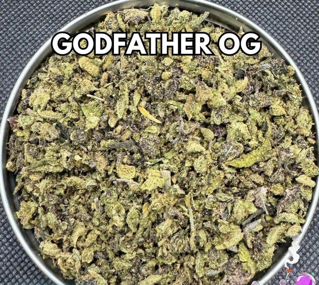 IMG_4965-1704534162489