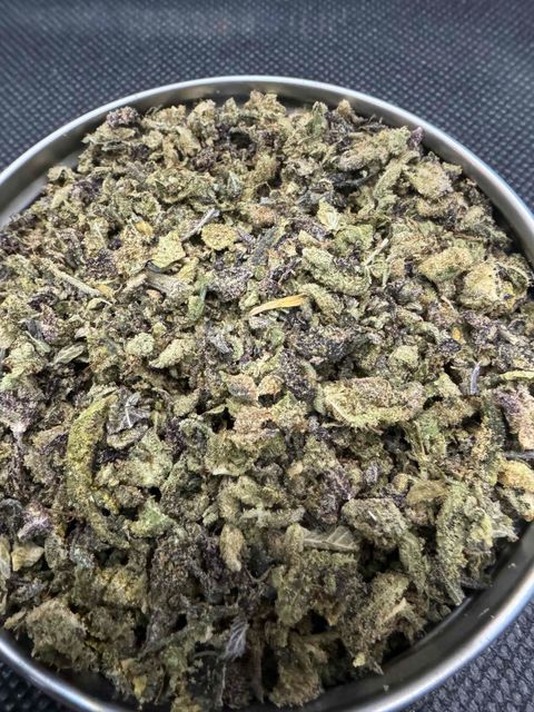 IMG_4966-1704534162373