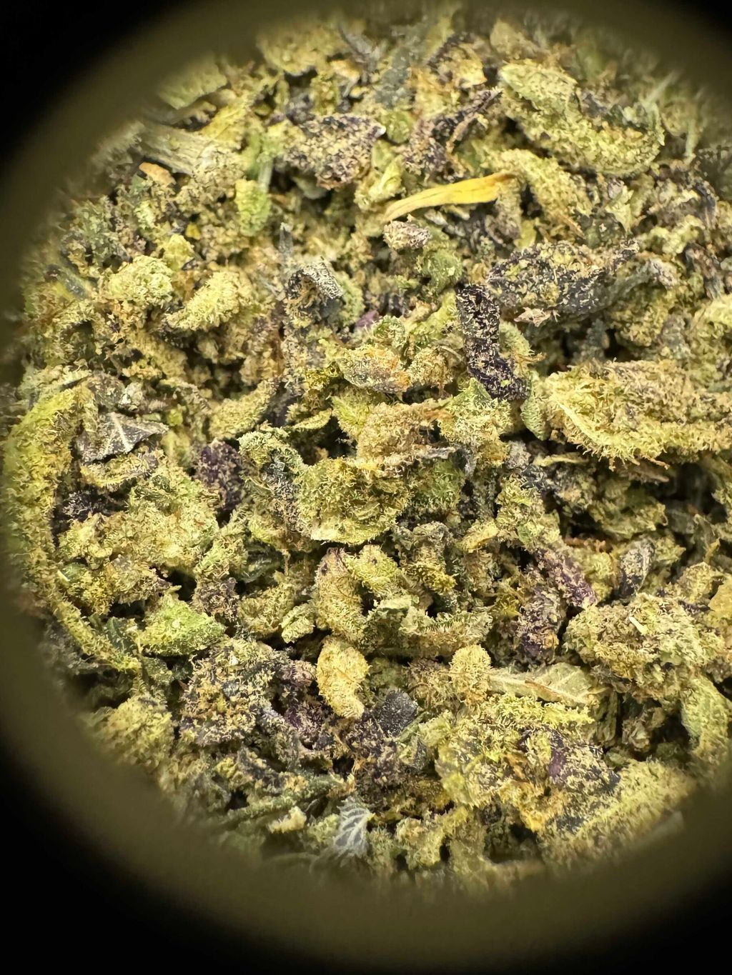 IMG_4967-1704534162377