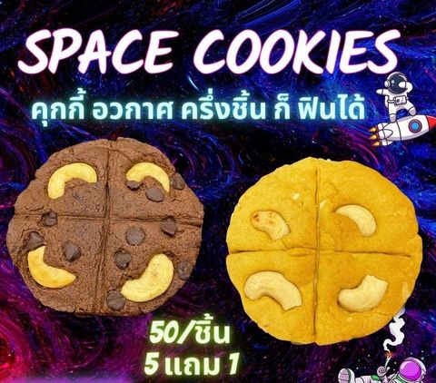 IMG_4978-1704535482243