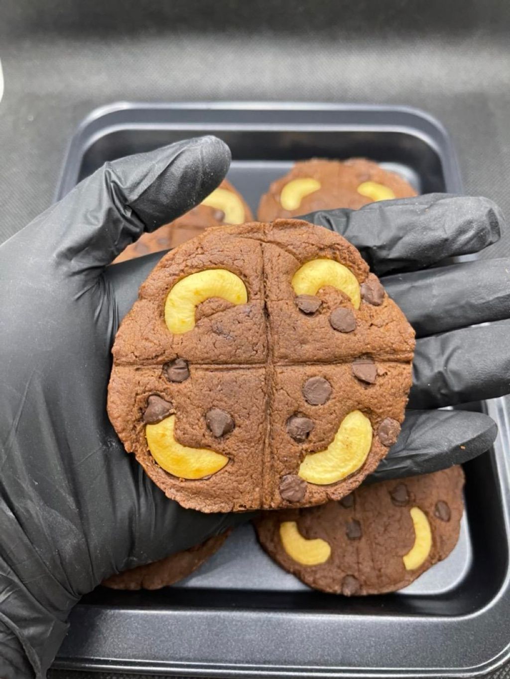 IMG_4979-1704535482102