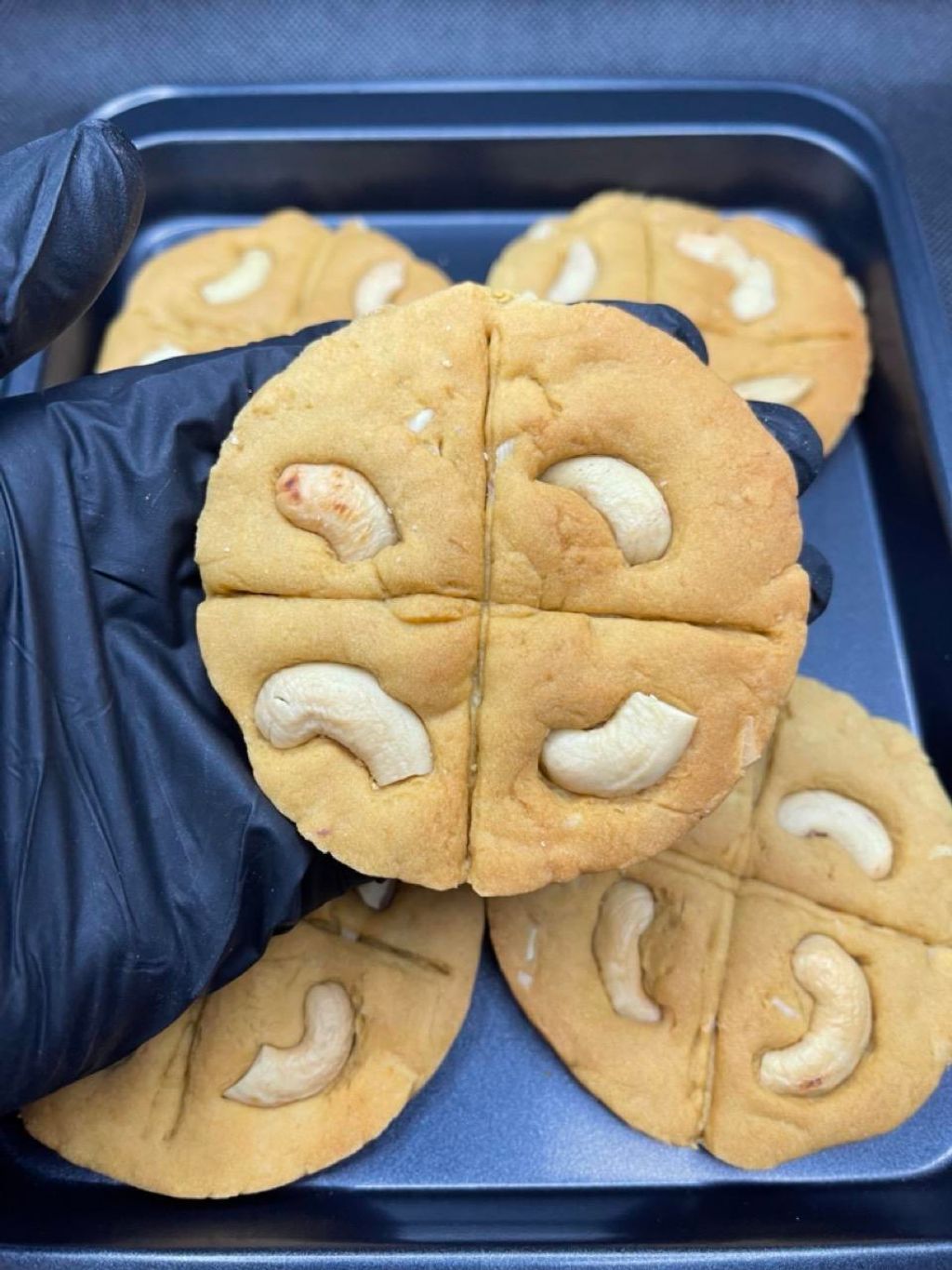 IMG_4980-1704535482107